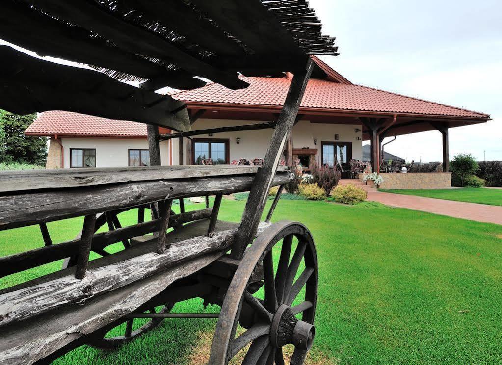 Hotel Dwor Choiny Kazimierówka エクステリア 写真